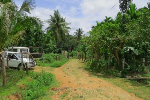 Forests in Shimoga fragmented by roads, plantations and agriculture - photo by Sarah Burthe