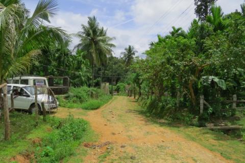 Forests in Shimoga fragmented by roads, plantations and agriculture - photo by Sarah Burthe Forests in Shimoga fragmented by roads, plantations and agriculture - photo by Sarah Burthe