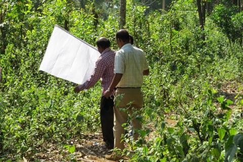 Health workers and project team members flagging forest vegetation for ticks - Photo by Sarah Burthe Health workers and project team members flagging forest vegetation for ticks - Photo by Sarah Burthe